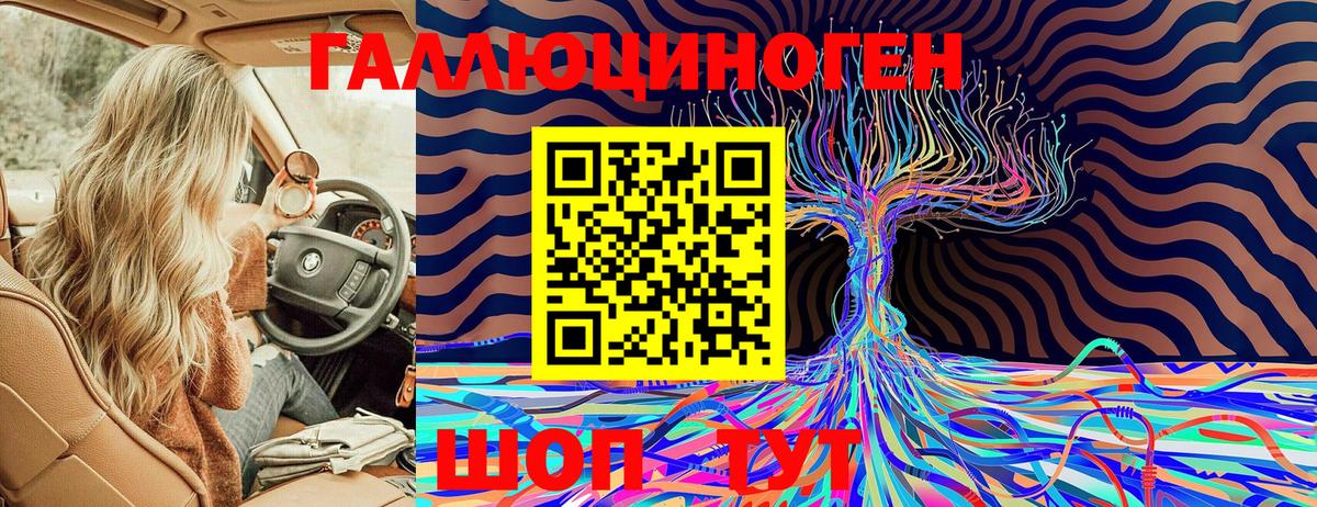 Медногорск  Псилоцибиновые грибы Psilocybine cubensis  Вход с VPN 